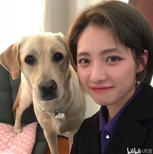 超萌头像可爱呆萌系女生本田