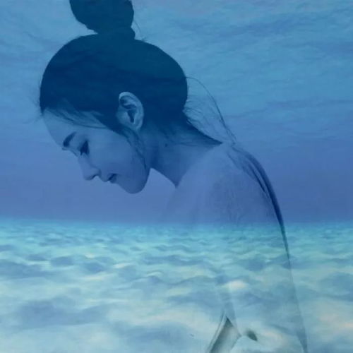 最好的感情相顾无言,你却懂我
