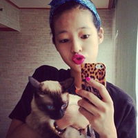 猫系动漫头像女生霸气猫咪