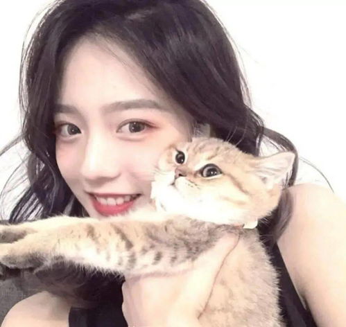 清新美女头像图片高清