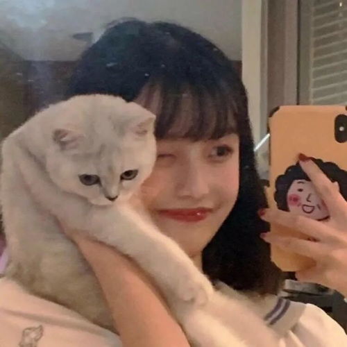 一组猫系女生头像,请签收