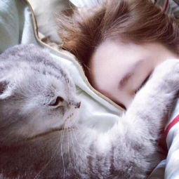 为何自家猫咪很高冷喵星人说爱你的时候,主人回应了吗