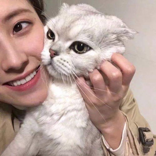 猫系头像女生真人版大片