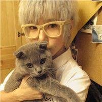 情侣头像男生和女生都在亲猫
