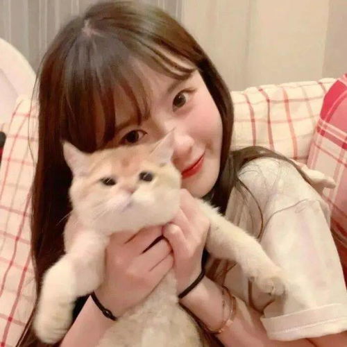 头像图片丨女生头像丨可爱的猫系女头1214