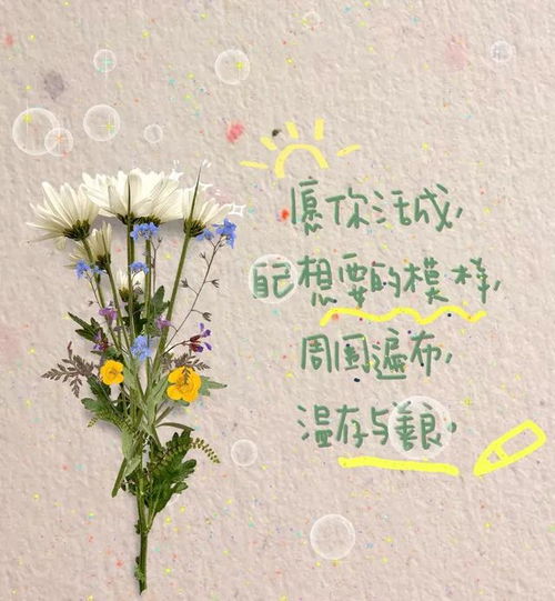 今日文案温柔有光的日常发圈治愈系文案