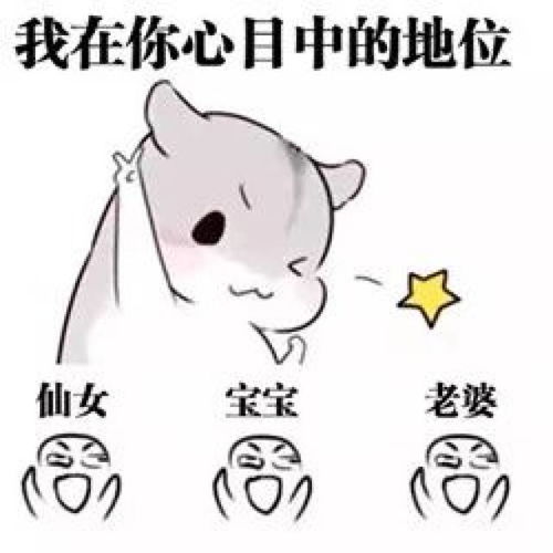 男生们,你喜欢什么动物系女友