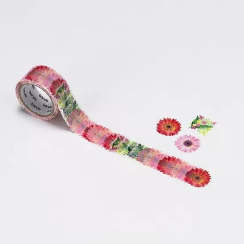 它是很不起眼的东西,但它可以送你一个世界纸胶带