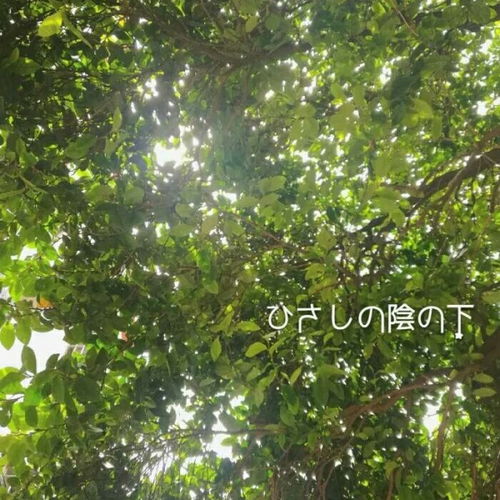 安奈ins风治愈系背景图等到苦风景静物头像我要个性网