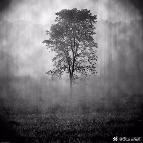 今日上师教言
