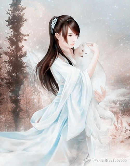 357799许灵迦沈元清