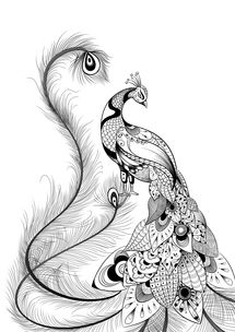 黑白画