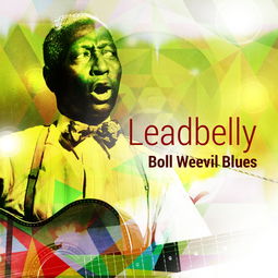 bollweevilblues