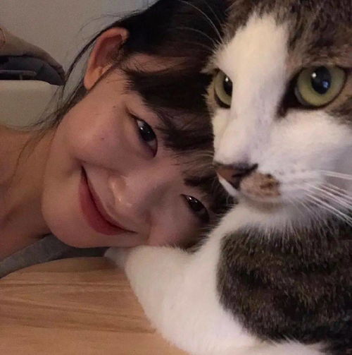猫系头像女生真人版文案