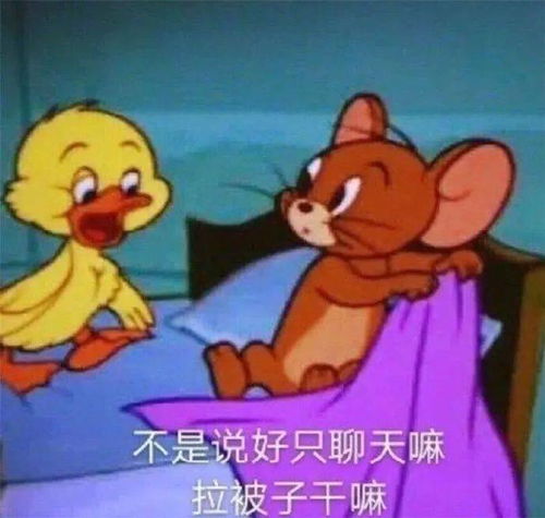 沙雕猫和老鼠表情包
