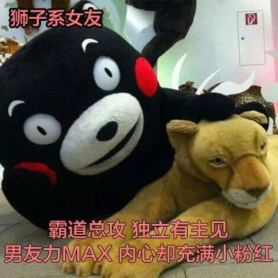 猫系女友的头像动物