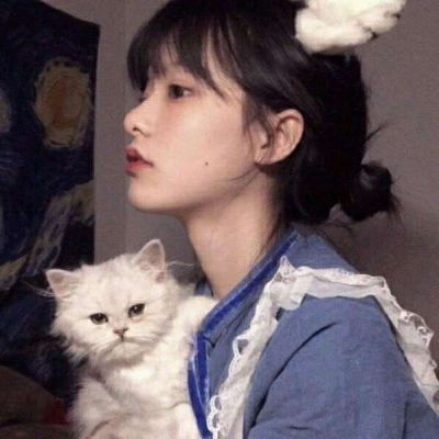 猫系女友头像动漫图鉴