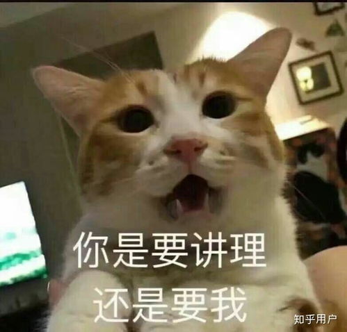 头像黄色系图片超级喜欢你
