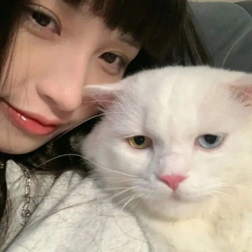 精选优质温柔小众好看女生头像16