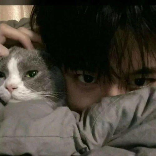 头像优质真人男生女生卡通头像