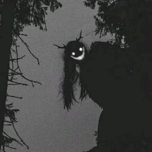 记录