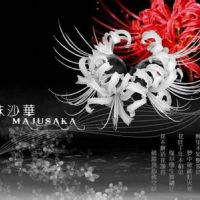 彼岸花头像记忆中的美好回忆微信头像图片大全