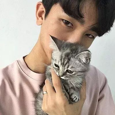 男不养猫看你这么会说话,一定没对象吧