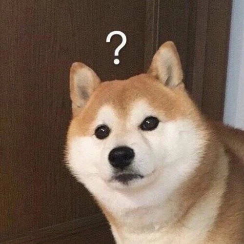 磕cp不带大名