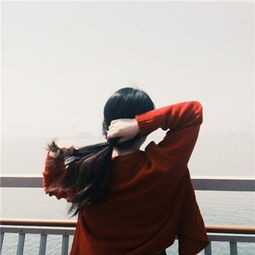 这个图片的情头