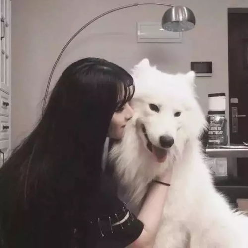 猫系头像女生ai少女