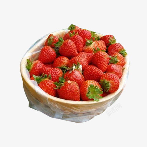 草莓采摘图标素描草莓草莓采摘草莓采摘园食物食物素材ui图标设计图片免费下载页面网页平面电商创意素材采摘图标