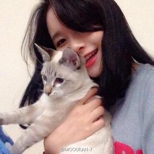 谁有女生和猫在一起的头像,多发几张吧,先谢谢了