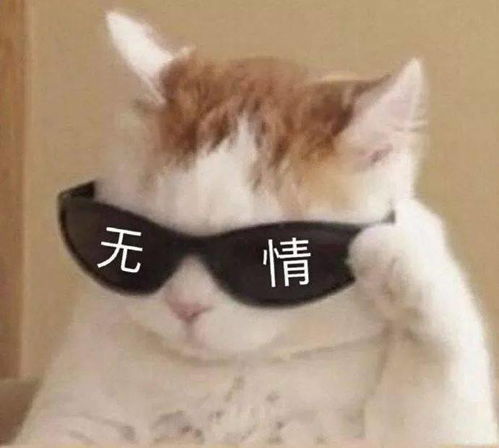 别光保养脸了,你的手才是真的显年龄