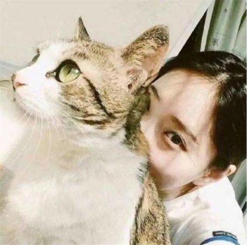 早出晚归的上班族可以养猫吗这3点必须注意