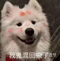 双子男真爱一个人会有什么表现双子座男生爱情特质剖析