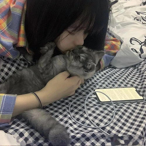 头像图片丨女生头像丨可爱的猫系女头1214